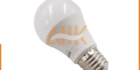 Compact Fluorescent Light Bulbs