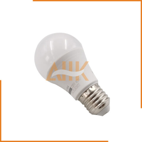 Compact Fluorescent Light Bulbs