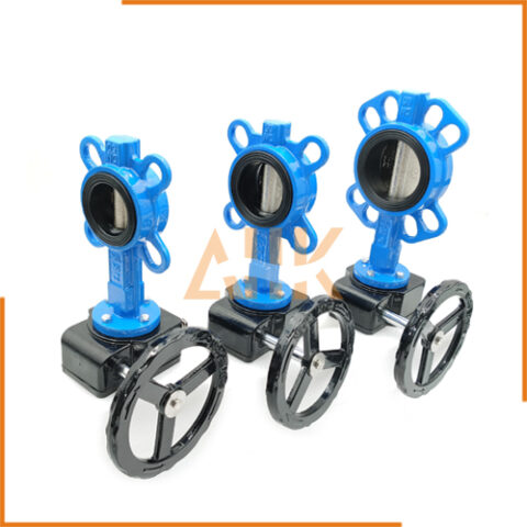 Worm Gear Actuator