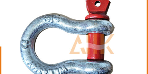 Bow Shackles -BC with Eye Bolt