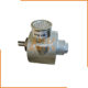Pneumatic motor