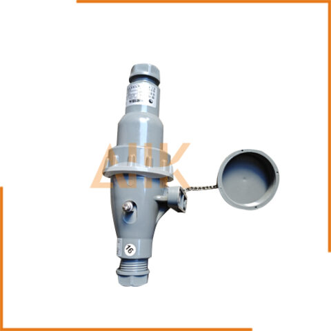 Marine Pulg and Socket