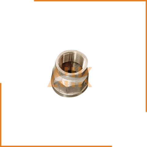 Brass Pipe Fittings Threaded Type（Brass Threaded Reducing Sockets)