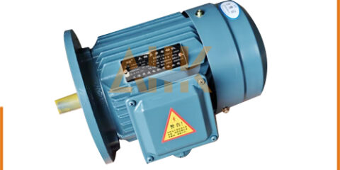 Heavy-Duty 3-Phase Induction Motor