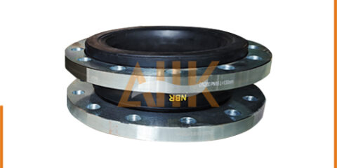 Rubber Bellow Expansion Joints with DIN Flange